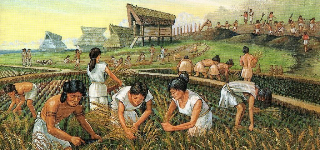Tarım Devrimi, Yerleşik Hayata Geçiş | Agricultura