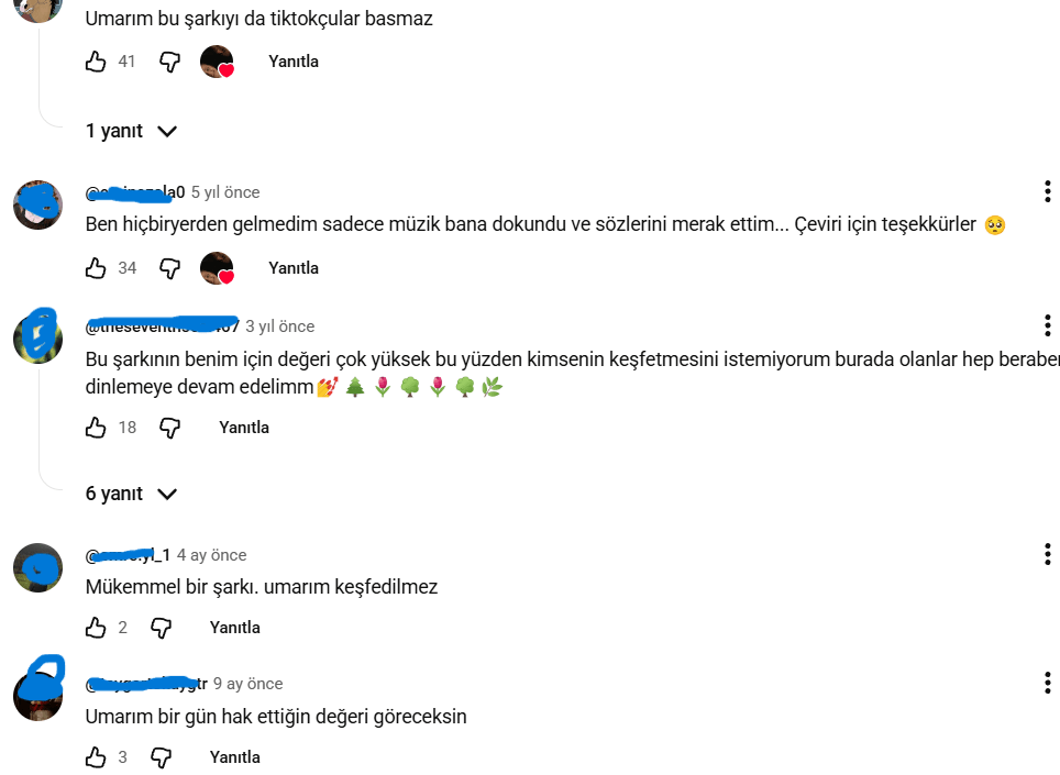 Ekran Goruntusu 56 | Pierre Bourdieu ve Habitus: 'Ben Bunu Gerçekten Seviyorum' Ne Demek?